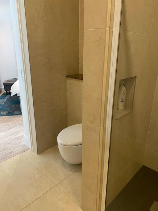 Beautiful Garden Apartment With Private Patio And Garden View Δουβλίνο Εξωτερικό φωτογραφία