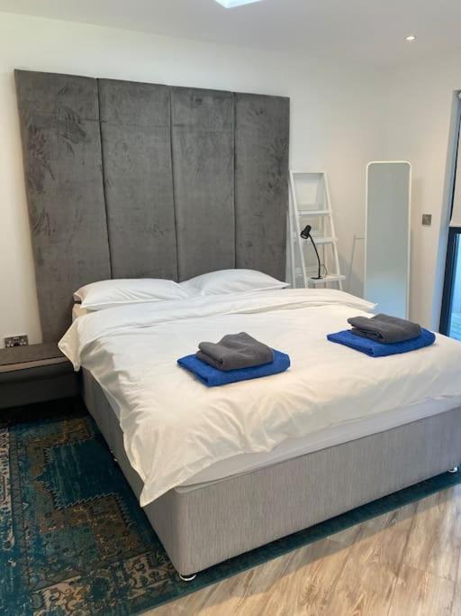 Beautiful Garden Apartment With Private Patio And Garden View Δουβλίνο Εξωτερικό φωτογραφία