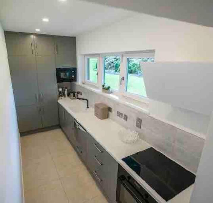 Beautiful Garden Apartment With Private Patio And Garden View Δουβλίνο Εξωτερικό φωτογραφία