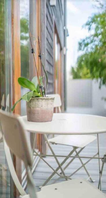 Beautiful Garden Apartment With Private Patio And Garden View Δουβλίνο Εξωτερικό φωτογραφία